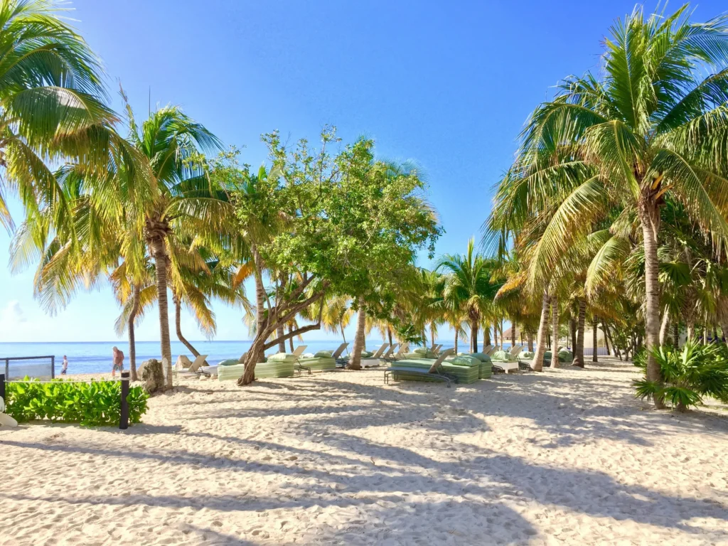 What Should You Pack for a Day Trip in Riviera Maya? A Local's Checklist 2 andrew wittmaak fGrs1G tYs8 unsplash