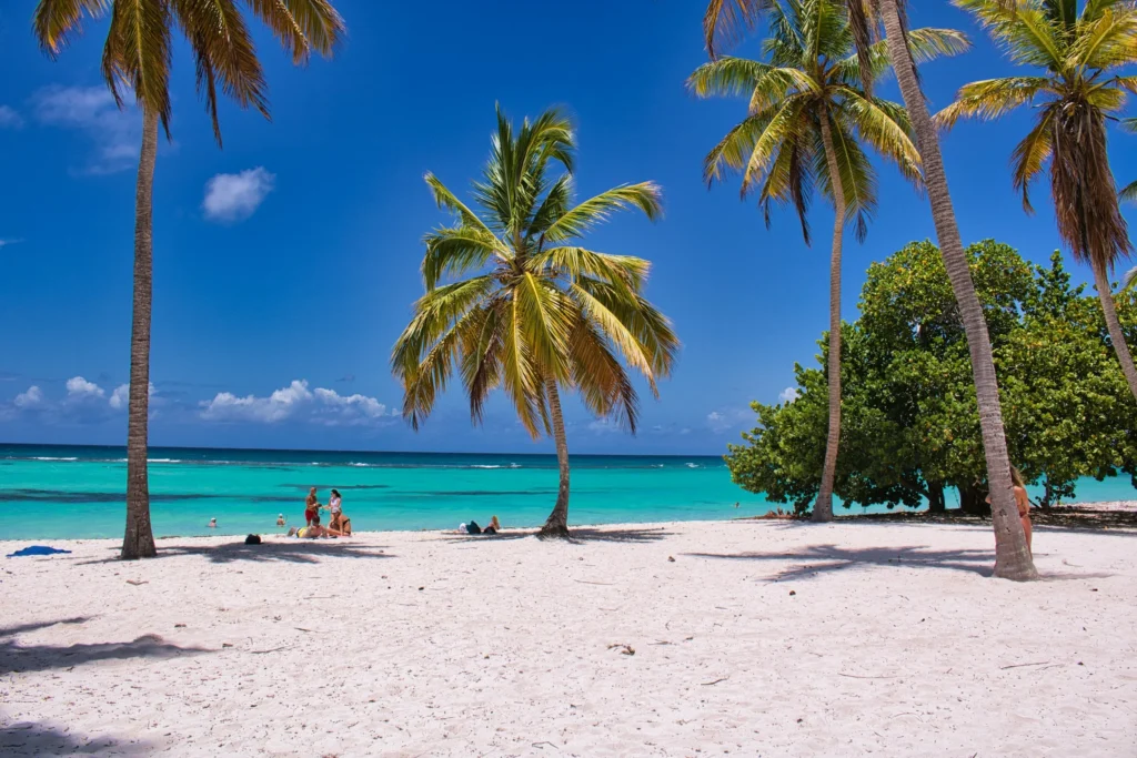 Tour privado a Tulum 6 lutz dieckmann ldp media design 7TP kYL5y9o unsplash